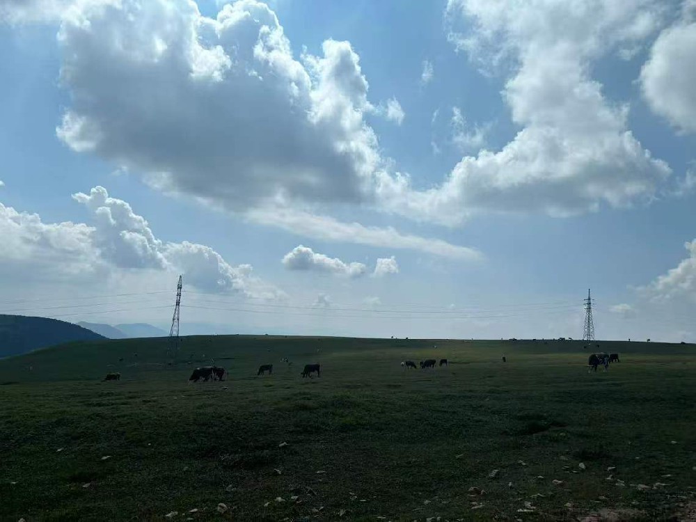 風舞綠色能源，守護風電之翼：風電設備刷新維護的醇酸防鏽磁漆優選